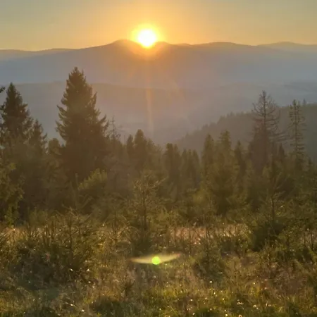 Ferienhaus затишний двір Pilipets